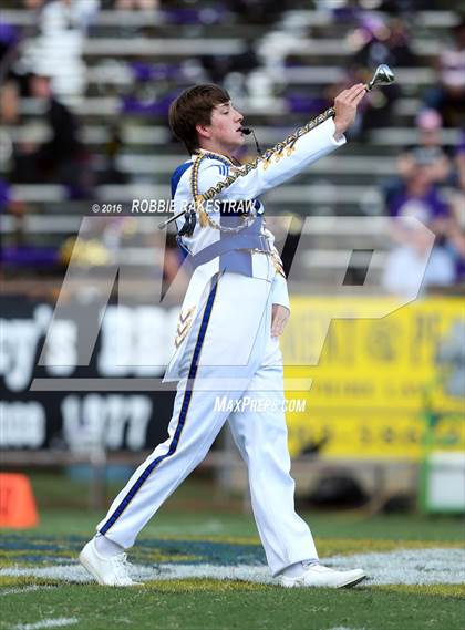 Thumbnail 1 in Alvarado @ Jacksonville photogallery.