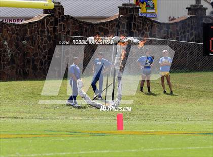 Thumbnail 1 in Alvarado @ Jacksonville photogallery.