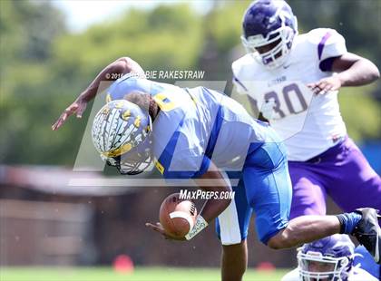 Thumbnail 3 in Alvarado @ Jacksonville photogallery.