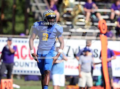 Thumbnail 3 in Alvarado @ Jacksonville photogallery.