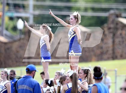 Thumbnail 3 in Alvarado @ Jacksonville photogallery.