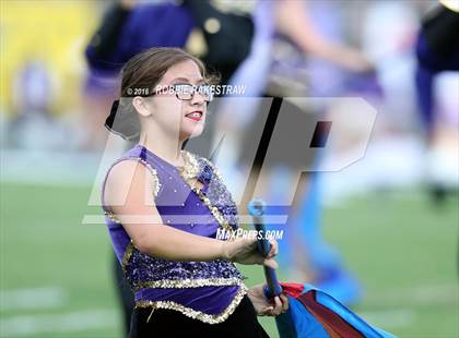 Thumbnail 1 in Alvarado @ Jacksonville photogallery.
