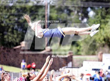 Thumbnail 1 in Alvarado @ Jacksonville photogallery.