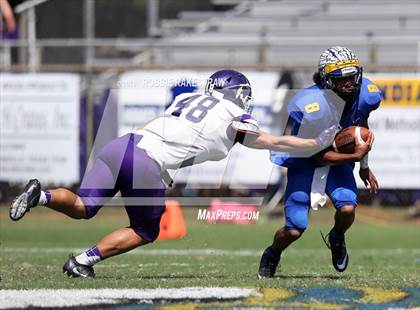Thumbnail 3 in Alvarado @ Jacksonville photogallery.