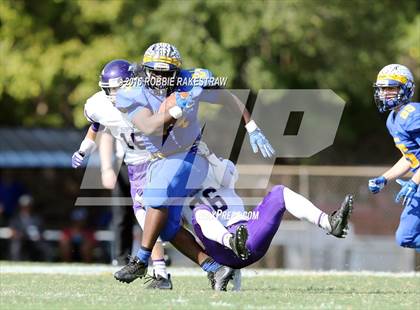 Thumbnail 3 in Alvarado @ Jacksonville photogallery.