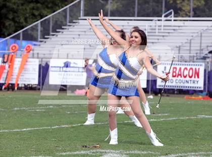 Thumbnail 3 in Alvarado @ Jacksonville photogallery.