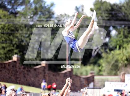 Thumbnail 3 in Alvarado @ Jacksonville photogallery.
