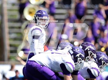 Thumbnail 1 in Alvarado @ Jacksonville photogallery.