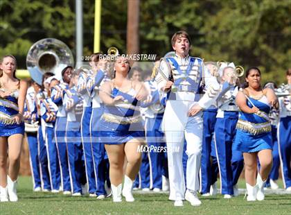 Thumbnail 2 in Alvarado @ Jacksonville photogallery.
