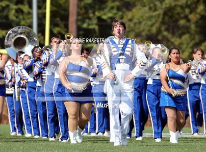 Thumbnail 3 in Alvarado @ Jacksonville photogallery.