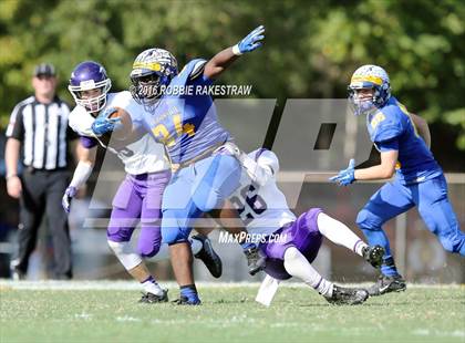 Thumbnail 2 in Alvarado @ Jacksonville photogallery.