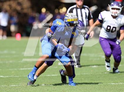 Thumbnail 1 in Alvarado @ Jacksonville photogallery.