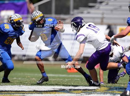 Thumbnail 2 in Alvarado @ Jacksonville photogallery.