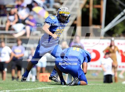 Thumbnail 2 in Alvarado @ Jacksonville photogallery.