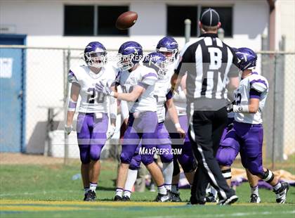 Thumbnail 1 in Alvarado @ Jacksonville photogallery.