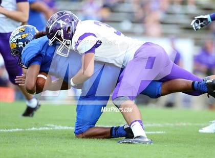 Thumbnail 3 in Alvarado @ Jacksonville photogallery.
