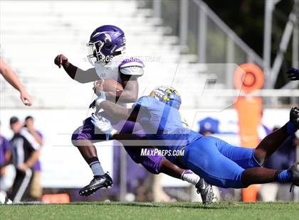 Thumbnail 3 in Alvarado @ Jacksonville photogallery.