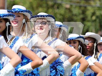 Thumbnail 2 in Alvarado @ Jacksonville photogallery.