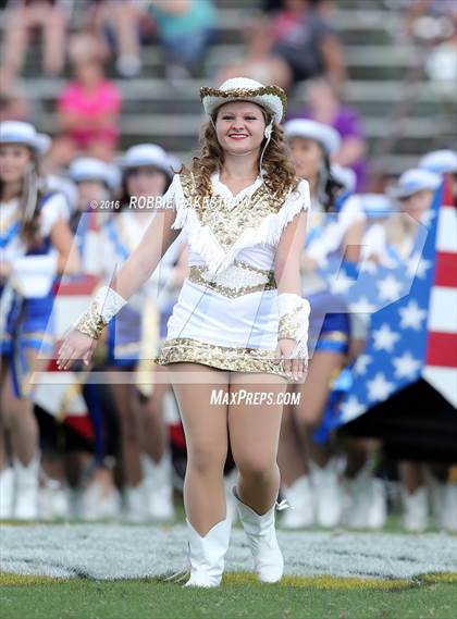 Thumbnail 1 in Alvarado @ Jacksonville photogallery.