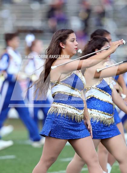 Thumbnail 2 in Alvarado @ Jacksonville photogallery.