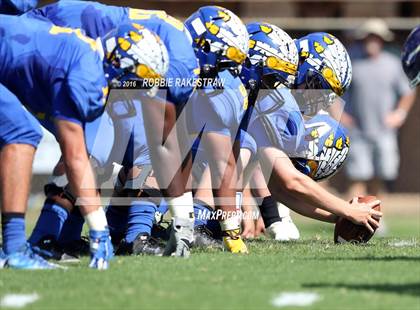 Thumbnail 1 in Alvarado @ Jacksonville photogallery.