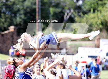Thumbnail 2 in Alvarado @ Jacksonville photogallery.
