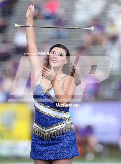 Thumbnail 3 in Alvarado @ Jacksonville photogallery.
