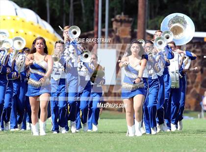 Thumbnail 1 in Alvarado @ Jacksonville photogallery.
