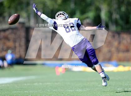 Thumbnail 3 in Alvarado @ Jacksonville photogallery.