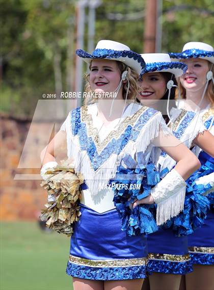 Thumbnail 1 in Alvarado @ Jacksonville photogallery.