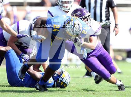 Thumbnail 2 in Alvarado @ Jacksonville photogallery.