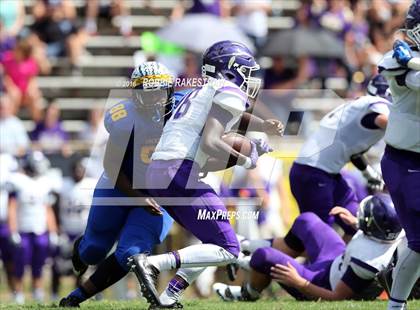 Thumbnail 3 in Alvarado @ Jacksonville photogallery.