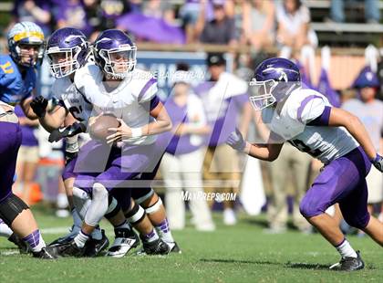 Thumbnail 1 in Alvarado @ Jacksonville photogallery.
