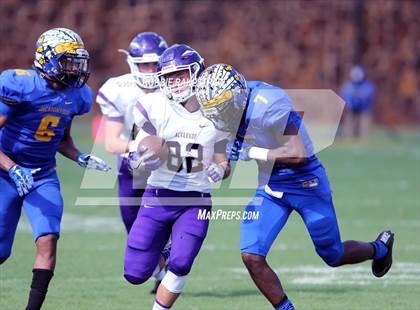 Thumbnail 3 in Alvarado @ Jacksonville photogallery.