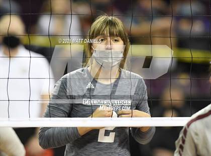 Thumbnail 1 in Palmer Ridge @ Palisade (CHSAA 4A Playoff) photogallery.