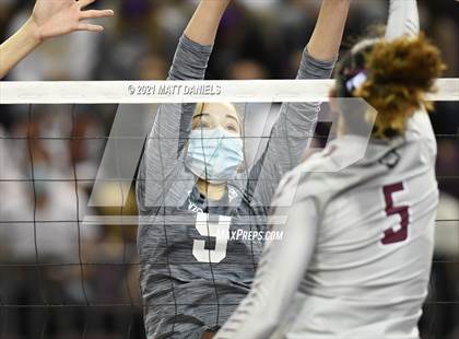 Thumbnail 3 in Palmer Ridge @ Palisade (CHSAA 4A Playoff) photogallery.
