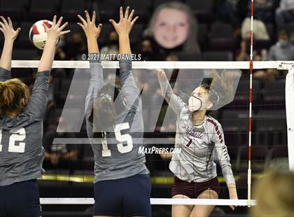 Thumbnail 2 in Palmer Ridge @ Palisade (CHSAA 4A Playoff) photogallery.