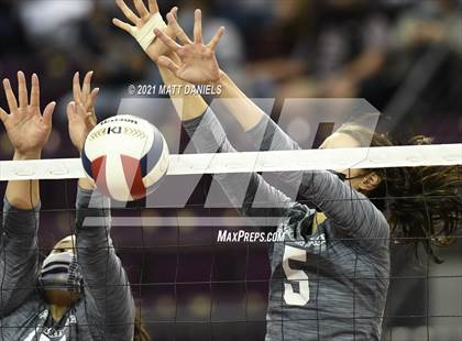 Thumbnail 2 in Palmer Ridge @ Palisade (CHSAA 4A Playoff) photogallery.