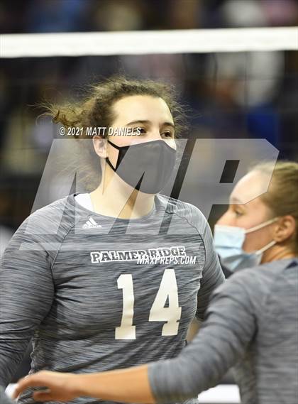 Thumbnail 2 in Palmer Ridge @ Palisade (CHSAA 4A Playoff) photogallery.