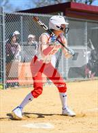 Photo from the gallery "Sacred Heart Academy @ Mepham"