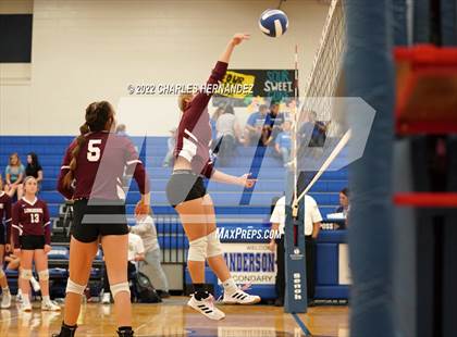 Thumbnail 1 in Tarkington @ Anderson-Shiro photogallery.