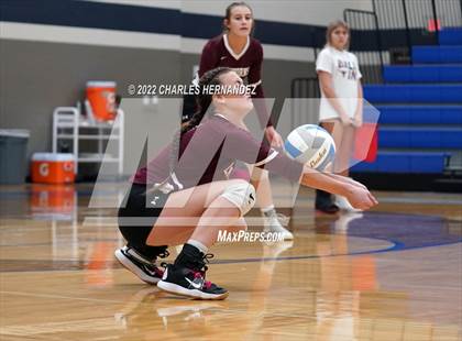 Thumbnail 1 in Tarkington @ Anderson-Shiro photogallery.