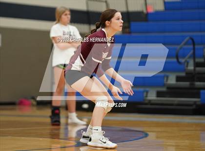Thumbnail 1 in Tarkington @ Anderson-Shiro photogallery.