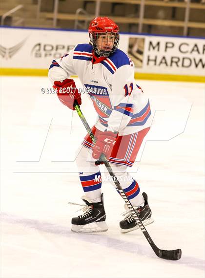 Thumbnail 2 in Iroquois vs Hamburg (LECOM Harborcenter) photogallery.