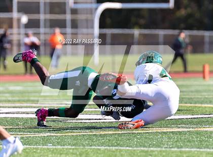 Thumbnail 2 in Ward Melville @ William Floyd photogallery.