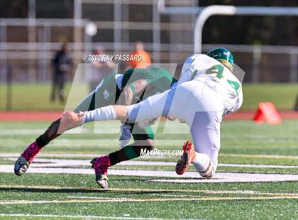 Thumbnail 1 in Ward Melville @ William Floyd photogallery.