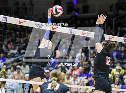 Thumbnail 3 in Nocona @ Leon (UIL 2A D1 Volleyball Final) photogallery.