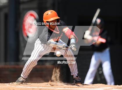 Thumbnail 2 in Brewer @ Haltom photogallery.