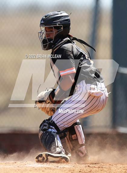 Thumbnail 1 in Brewer @ Haltom photogallery.