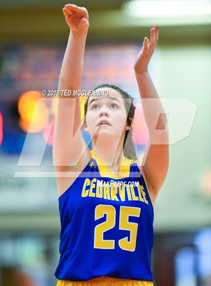 Thumbnail 1 in Two Rivers vs. Cedarville (AAA 3A Regional Playoff) photogallery.